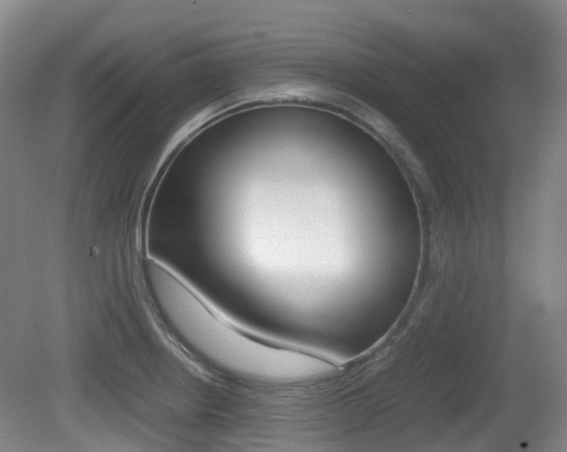 X0000079321234200611170922