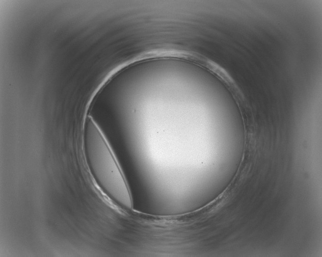 X0000079321236200611170922