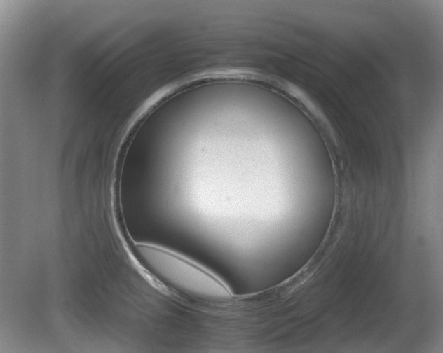 X0000079321237200611170922
