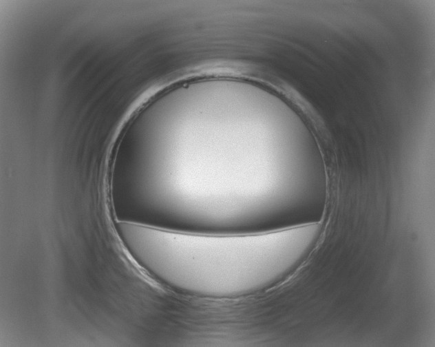 X0000079321240200611170922