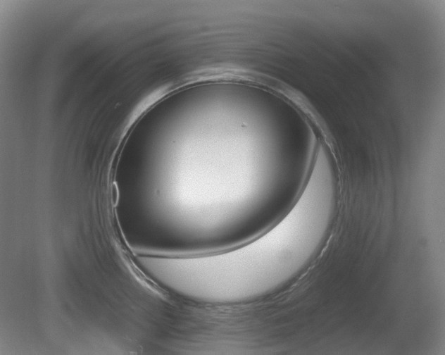 X0000079321242200611170922