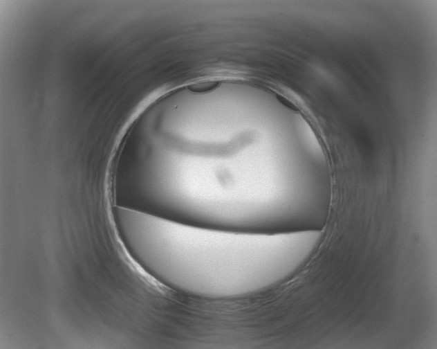 X0000079321243200611170922