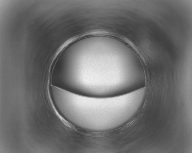 X0000079321245200611170922