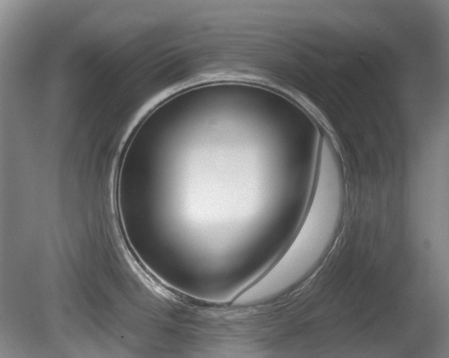 X0000079321246200611170922