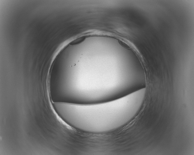 X0000079321247200611170922