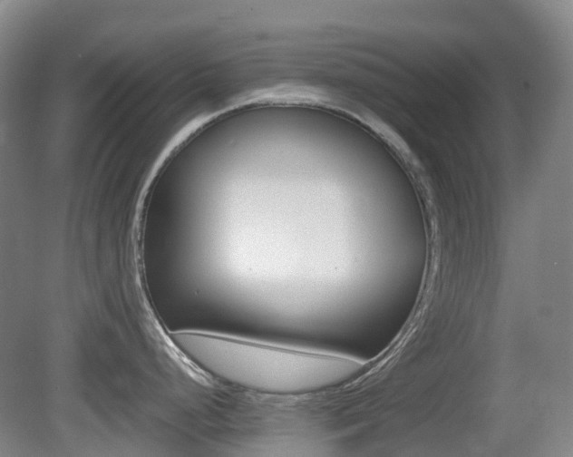 X0000079321248200611170922