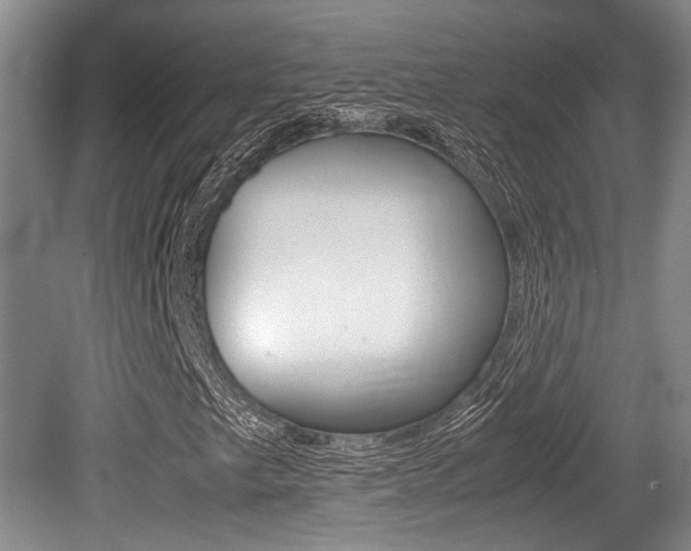 X0000079321249200611170921