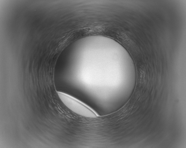 X0000079321250200611170921