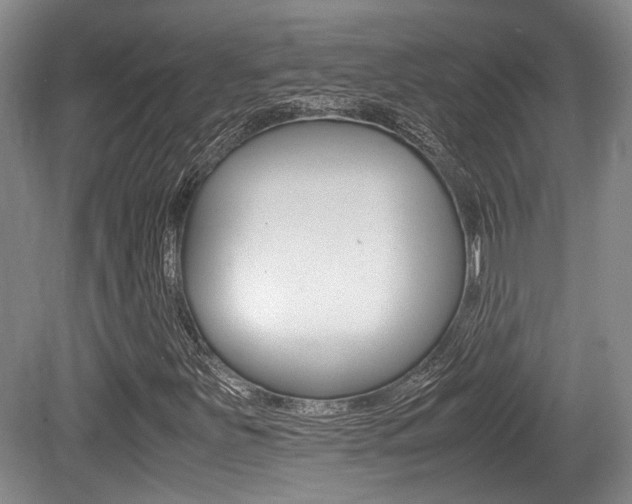 X0000079321251200611170921