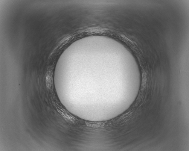X0000079321254200611170921