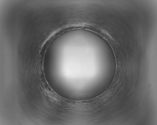 X0000079321256200611170921