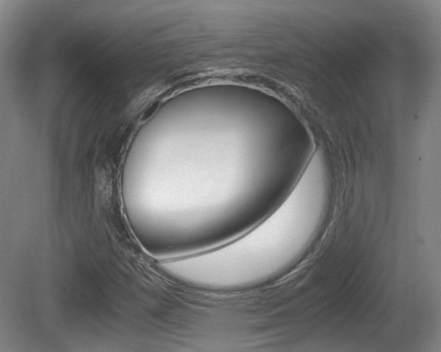 X0000079321257200611170921