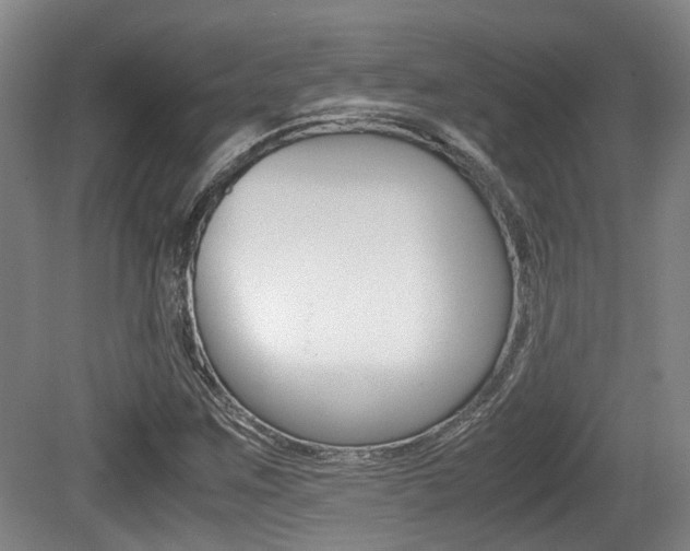 X0000079321259200611170921