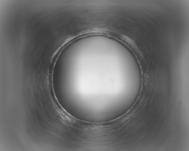 X0000079321260200611170921