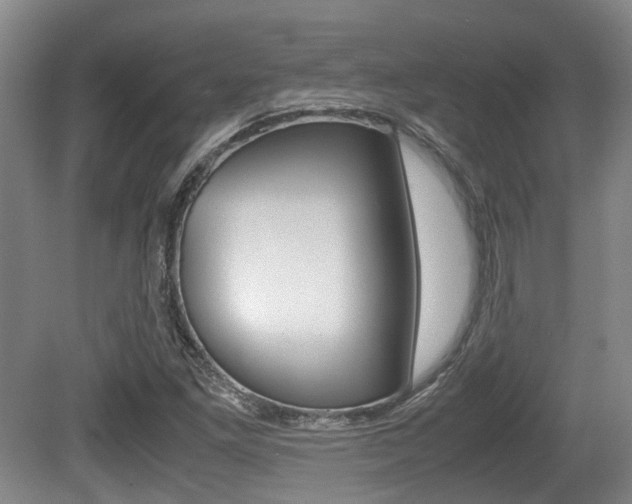 X0000079321261200611170921