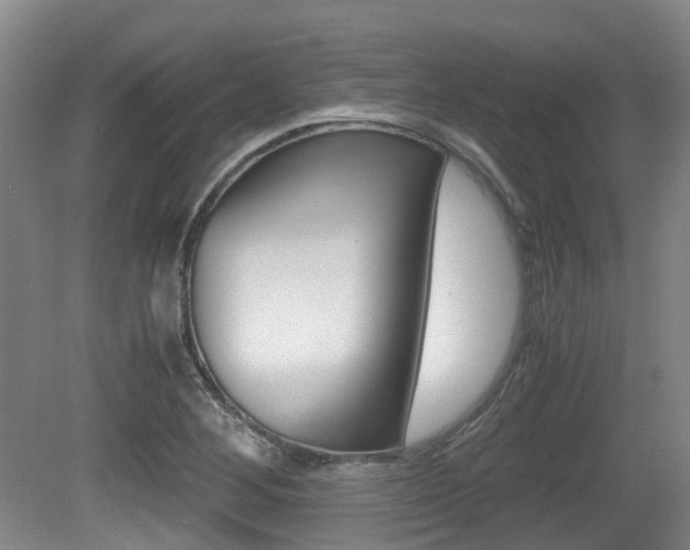X0000079321268200611170921