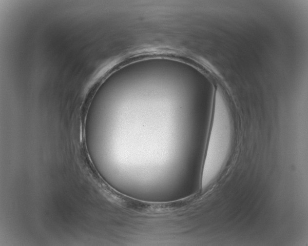 X0000079321269200611170921