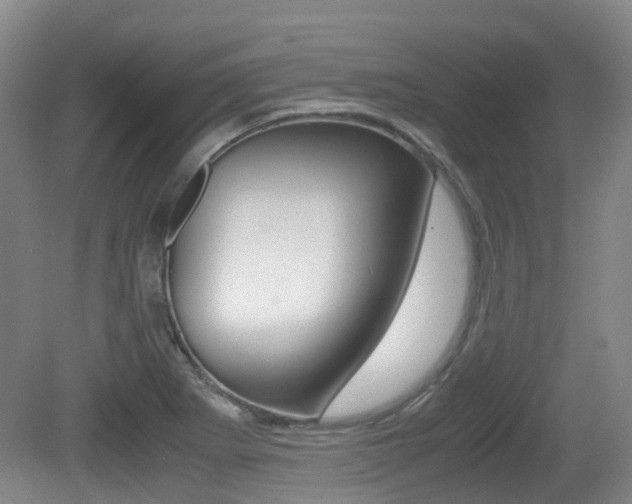 X0000079321273200611170921