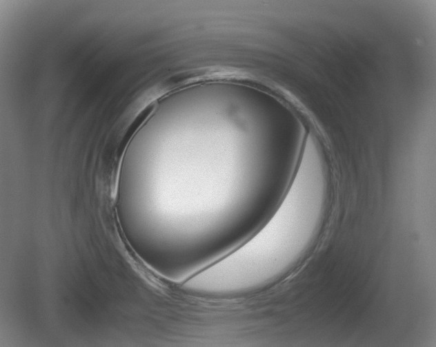 X0000079321281200611170921