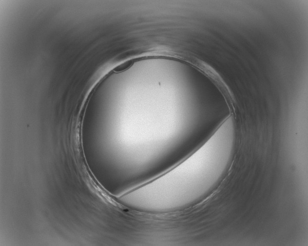 X0000079321292200611170921