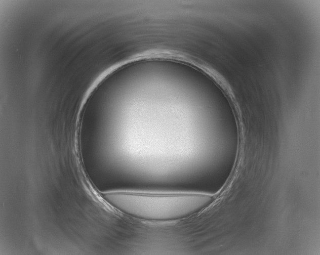 X0000079321296200611170921