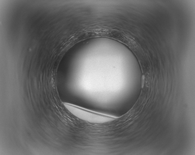X0000079321298200611170920