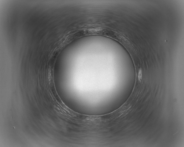 X0000079321299200611170920