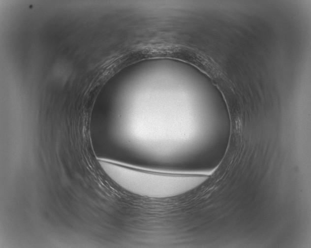 X0000079321300200611170920