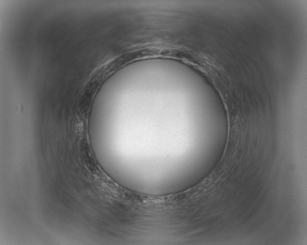 X0000079321302200611170920