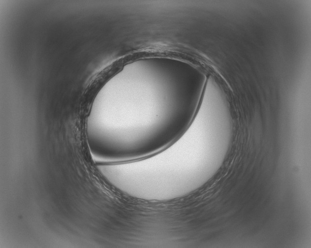 X0000079321304200611170920