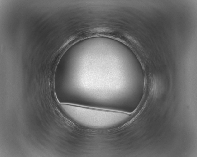 X0000079321305200611170920
