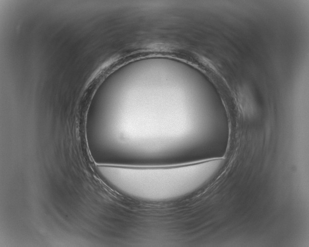 X0000079321307200611170920