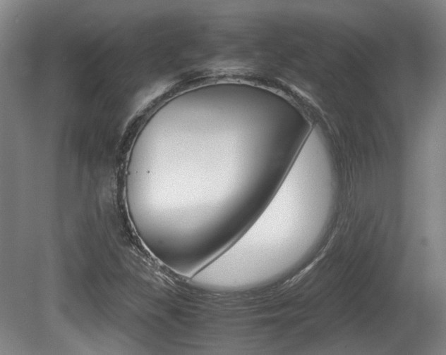 X0000079321309200611170920