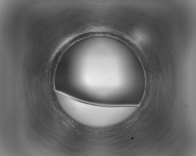 X0000079321311200611170920