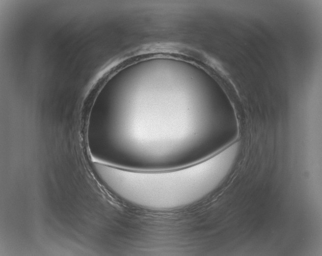 X0000079321312200611170920