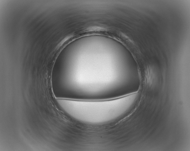 X0000079321313200611170920