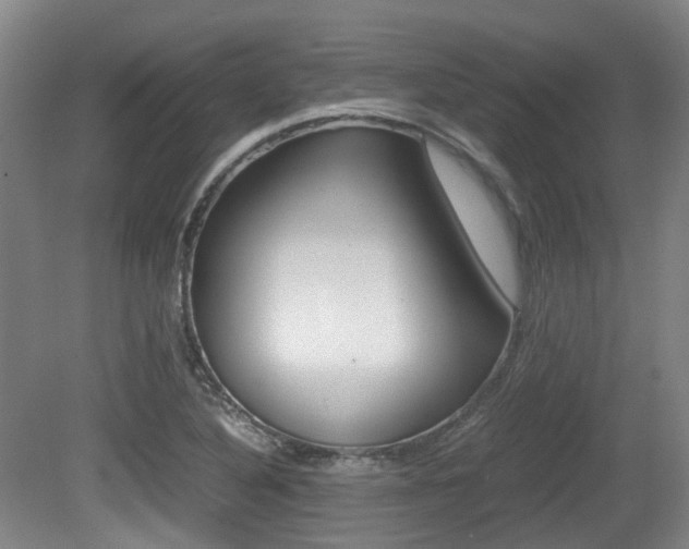 X0000079321316200611170920