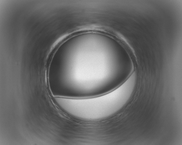 X0000079321320200611170920