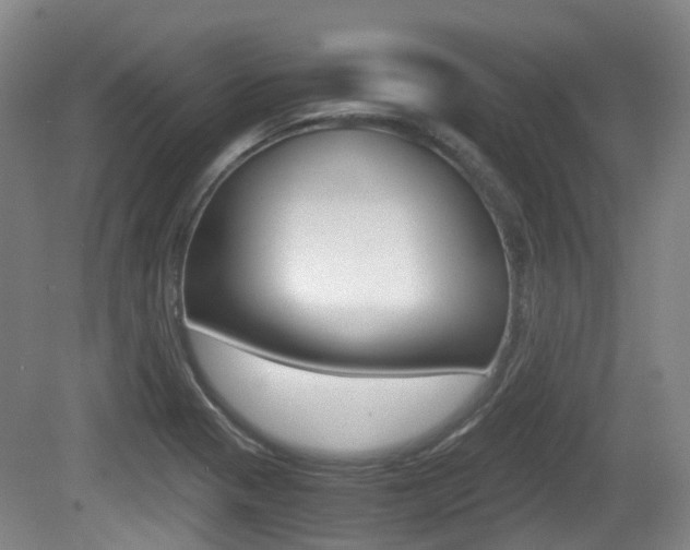 X0000079321321200611170920