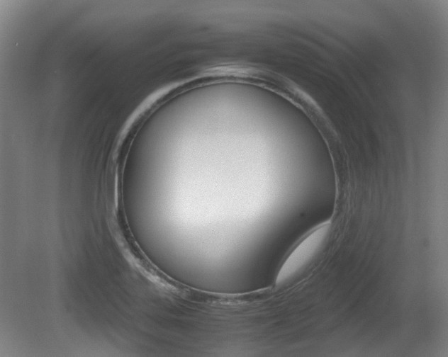 X0000079321323200611170920