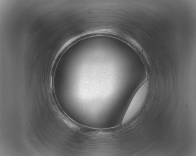 X0000079321324200611170920