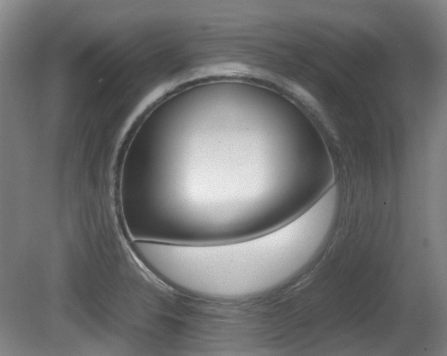 X0000079321326200611170920