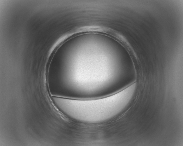 X0000079321328200611170920