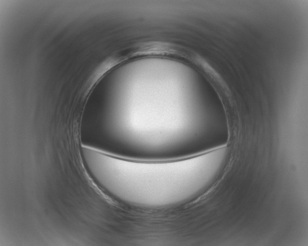 X0000079321329200611170920