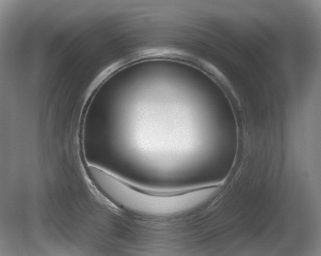 X0000079321330200611170920