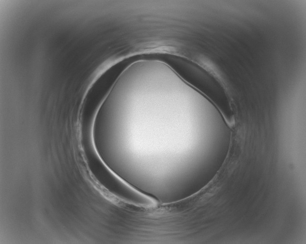 X0000079321332200611170920