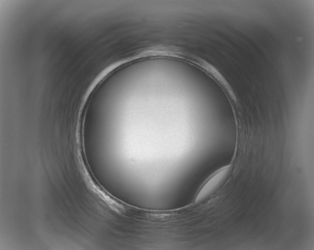 X0000079321339200611170920