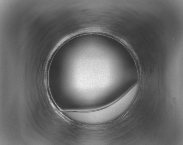 X0000079321342200611170921