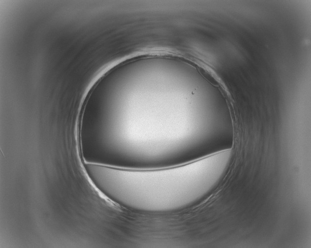 X0000079321343200611170921