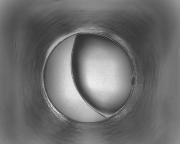 X0000079321344200611170921